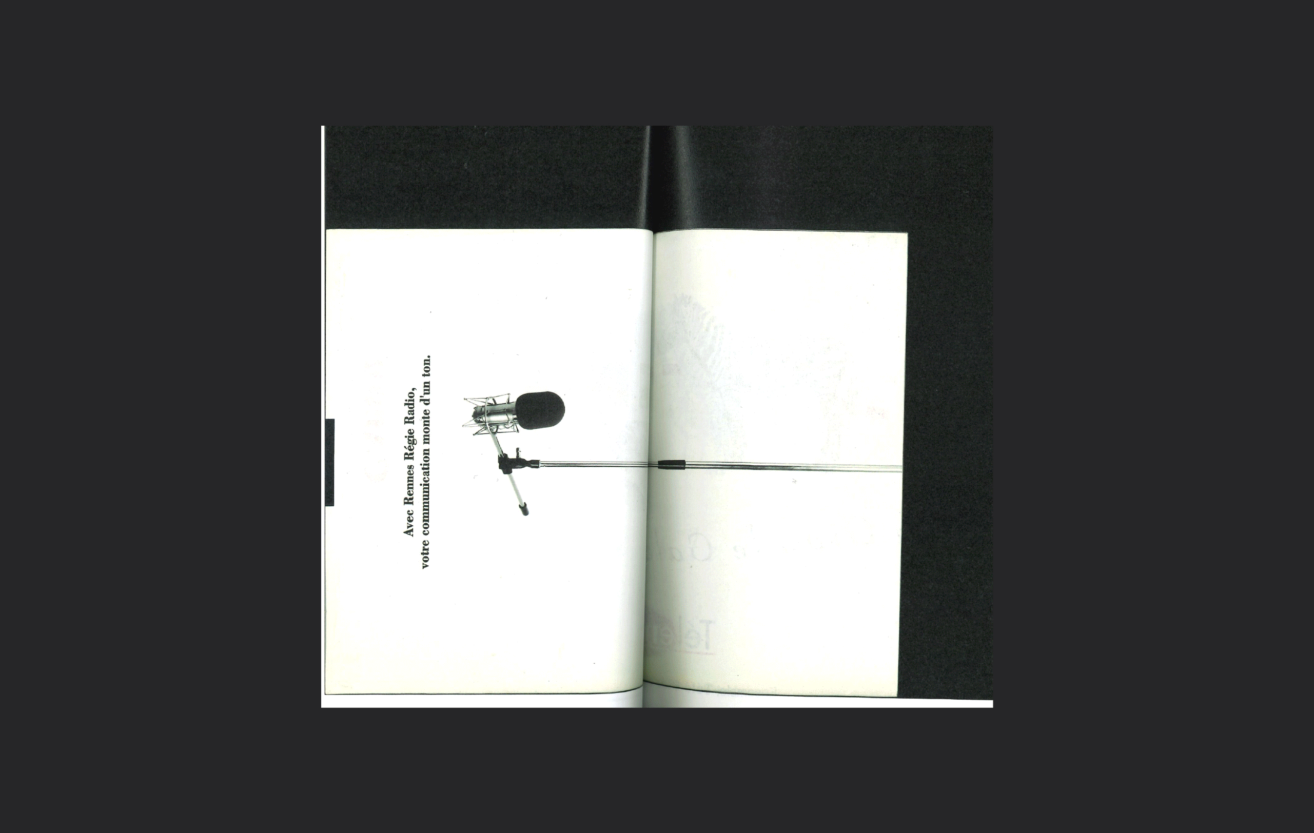 LANDEAU-CRÉATION-LIVRE-DE-DENIS-GIF-SCANS-0,5sec